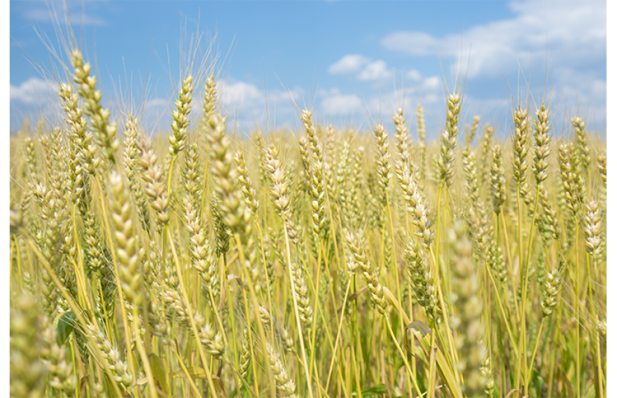 7e3d720fc18d9704847560eb522ec3b0